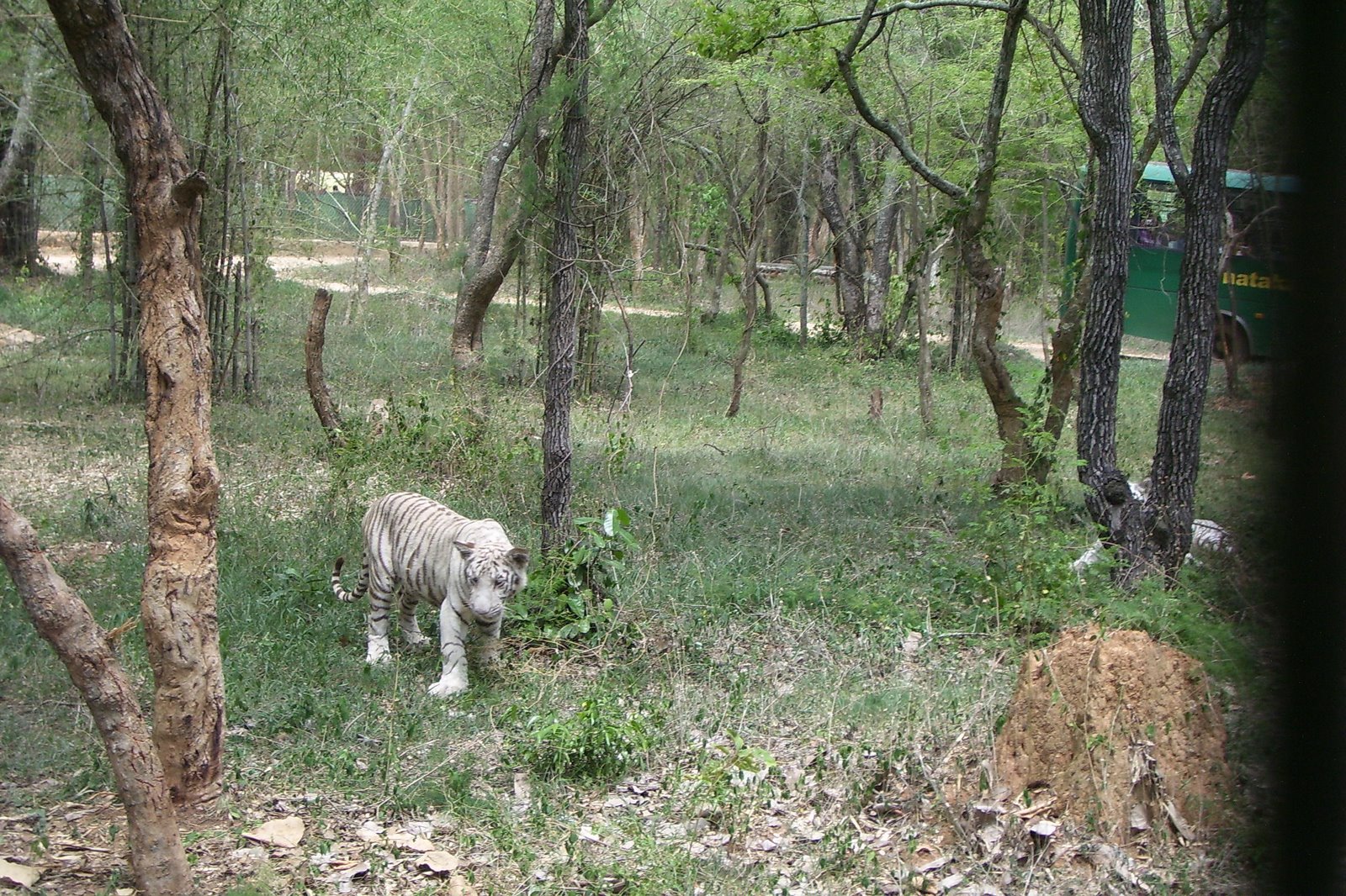 bannerghatta zoo opening time tomorrow